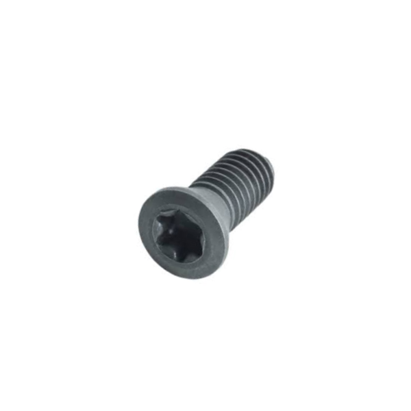Screw L60M2.5x5.0